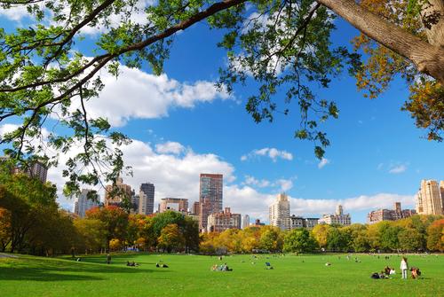 A park.
