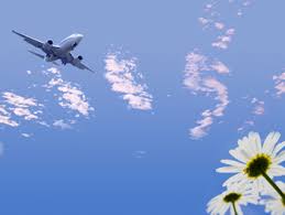 Airplane flies overhead.