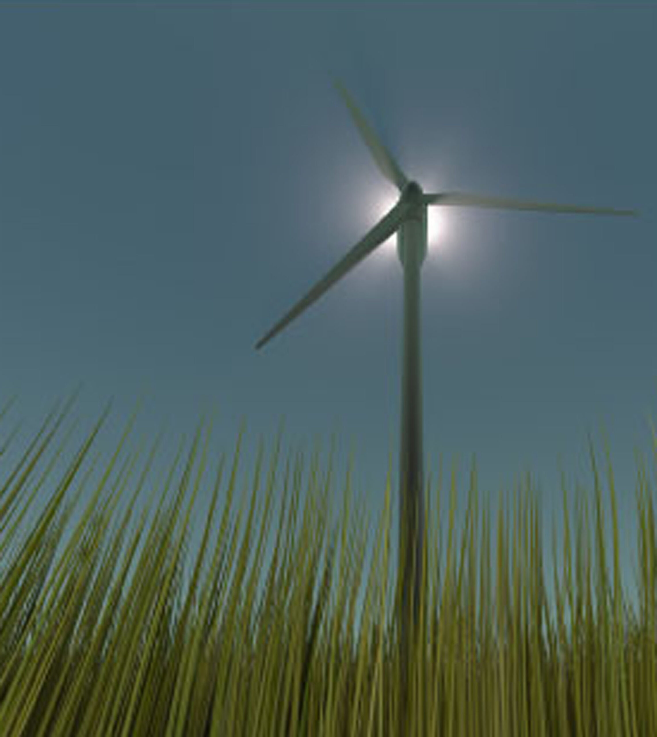 Windmill.