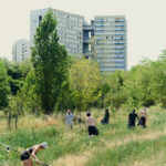 Urban agriculture in a French suburb.