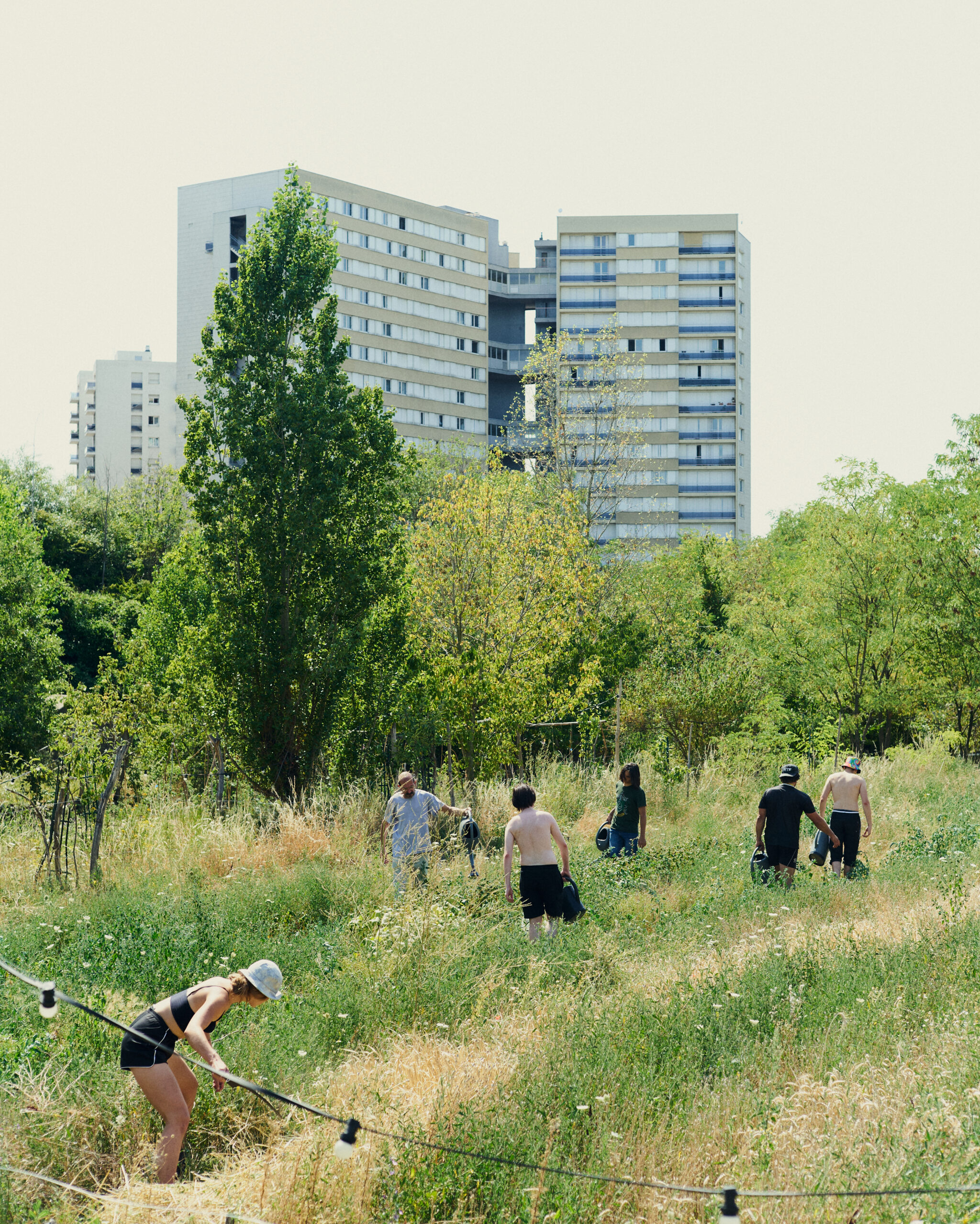 Urban agriculture in a French suburb.