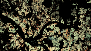 Ariel image of a road.