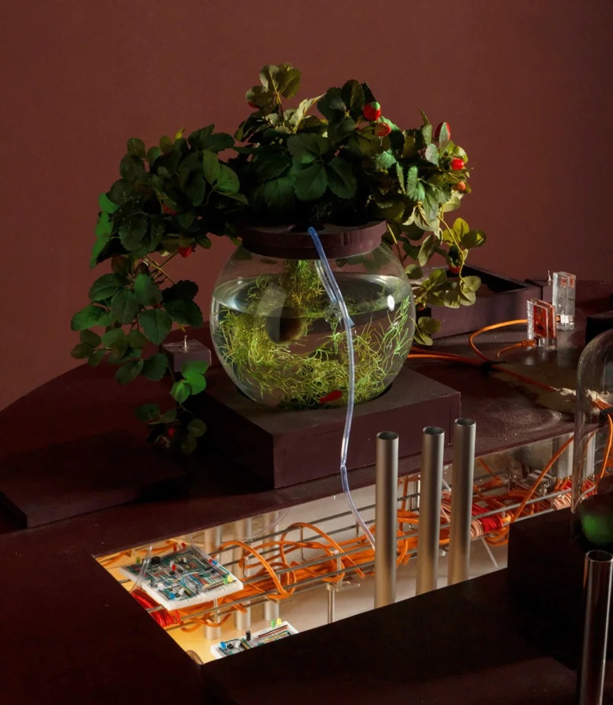 "continously-becoming-home" detail shot of installation 